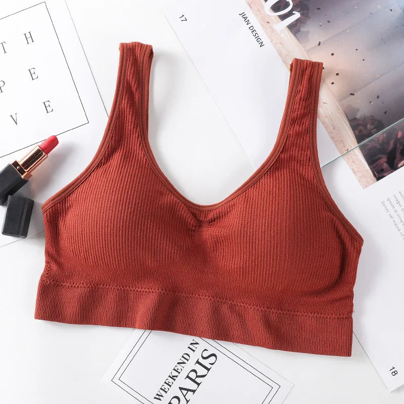 Seamless Bras For Women Seamless Bra Top Female Underwear Sport Tops Wireless Push Up Bra Sexy Lingerie Comfort Intimates