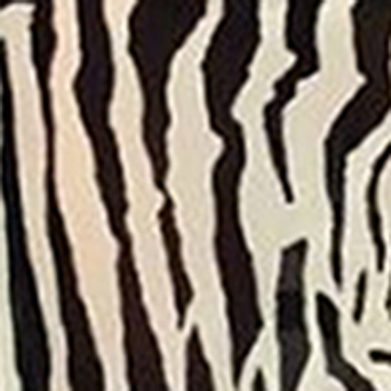 Women Split Long Dress Zebra Stripe/Leopard Print Drape Front Summer Backless Party Dress for Cocktail Beach Streetwear