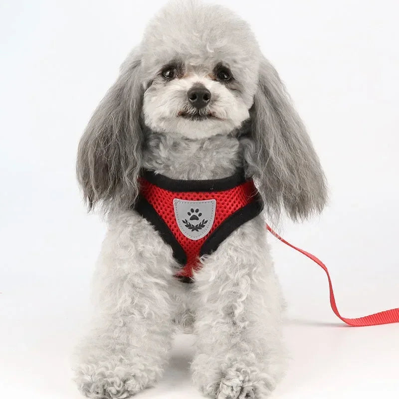 Pet Cat Dog Harness with Lead Leash Adjustable Vest Polyester Mesh Breathable Harnesses Reflective for Small Dog Cat Accessorie