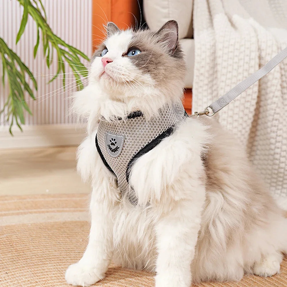 Pet Cat Dog Harness with Lead Leash Adjustable Vest Polyester Mesh Breathable Harnesses Reflective for Small Dog Cat Accessorie