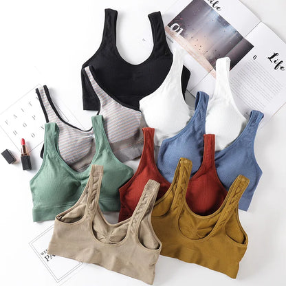 Seamless Bras For Women Seamless Bra Top Female Underwear Sport Tops Wireless Push Up Bra Sexy Lingerie Comfort Intimates