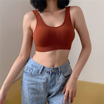 Seamless Bras For Women Seamless Bra Top Female Underwear Sport Tops Wireless Push Up Bra Sexy Lingerie Comfort Intimates
