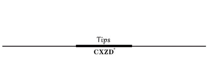 CXZD Hip Enhancer Butt Lifter Push Up Panties Women Body Shapers Control Panties Women Shapewear Sexy Mesh Breathable Lift