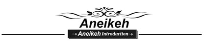 Aneikeh Sexy Strap Rome Sandals Women Transparent Thick Bottom Party Dress High Heels sandalias doradas mujer 2025 tendencia