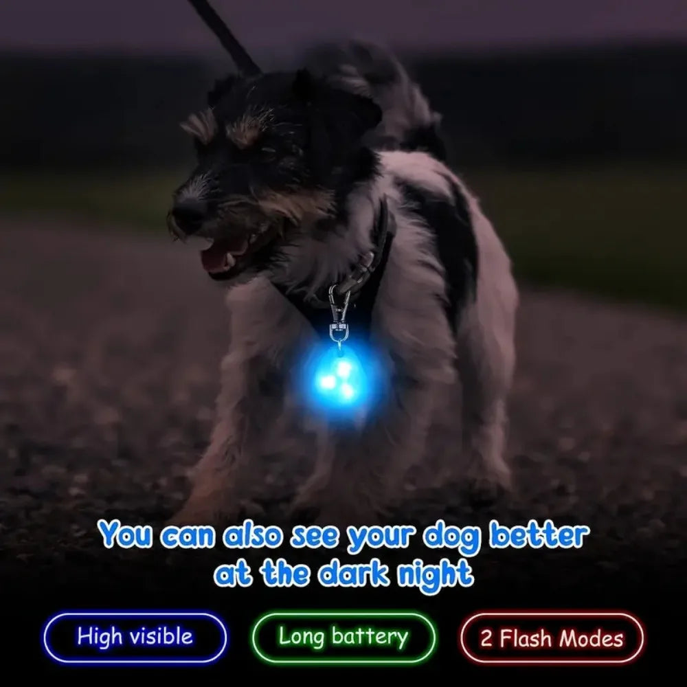 Silicone LED dog collar Pet collar waterproof light outdoor walking safety luminous dog tag battery LED Pet Pendant Collar