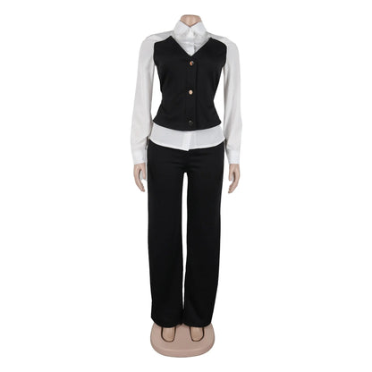 HLJ Elegant Lady Patchwork Shirts Two Piece Sets Women Lapel Long Sleeve Button Top And Pants Outfits Autumn OL 2pcs Clothing