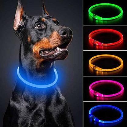 Led Usb Dog Collar Pet Dog Night Luminous Charge Collar Led Night Safety Flashing Glow Dog Loss Prevention Collar Pet Accessorie