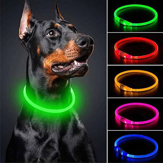 Led Usb Dog Collar Pet Dog Night Luminous Charge Collar Led Night Safety Flashing Glow Dog Loss Prevention Collar Pet Accessorie