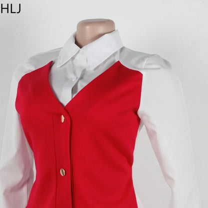 HLJ Elegant Lady Patchwork Shirts Two Piece Sets Women Lapel Long Sleeve Button Top And Pants Outfits Autumn OL 2pcs Clothing
