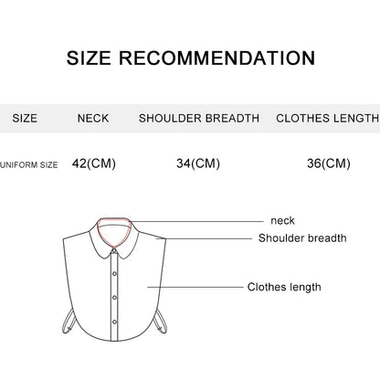Women's Spring Fall Solid Colour Black White Vertical Small Flip Collar Versatile Shirt Jumper Jumper Fashion False Collar