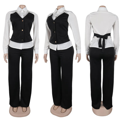 HLJ Elegant Lady Patchwork Shirts Two Piece Sets Women Lapel Long Sleeve Button Top And Pants Outfits Autumn OL 2pcs Clothing