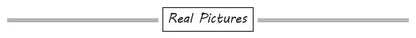 Girls Casual Dresses Little Daisy Printed Slip Sleeveless Dress Kids Dresses for Girls 2 To 6 Years Flower Girl Dresses Weddings
