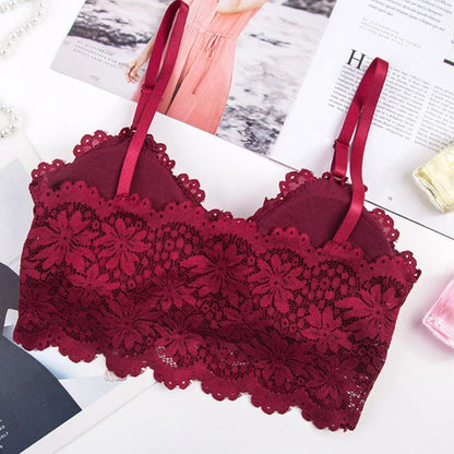 Women Lace Bra Sexy Lingerie French Bralette V Neck Cropped Bra Female Intimates Summer Seamless Underwear Embroidery Underwear