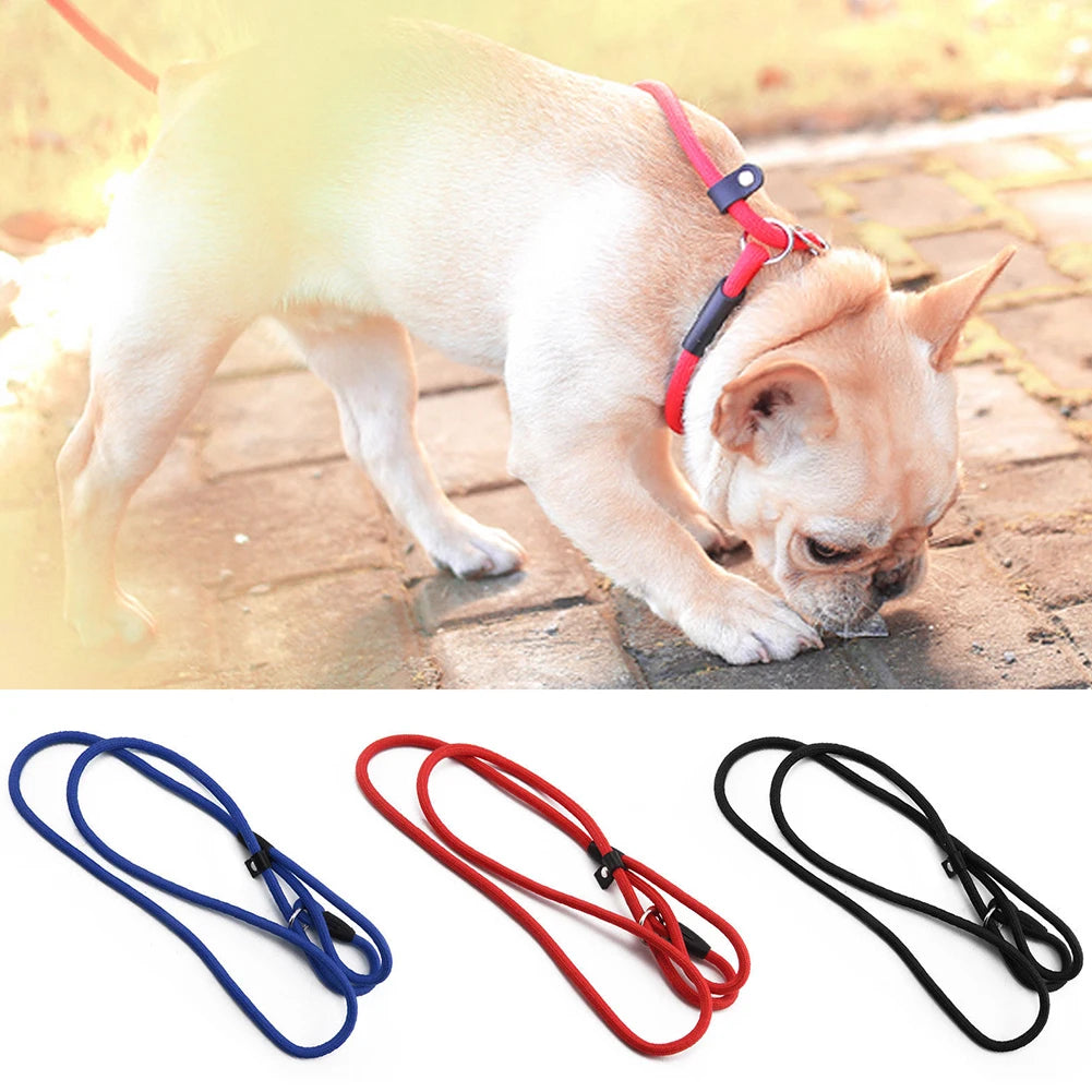 Pet Nylon Gear Dog Leash Two Handle-Double Handles Safety Training Belt Pet Harness Straps For Puggy Small Medium Large Dog